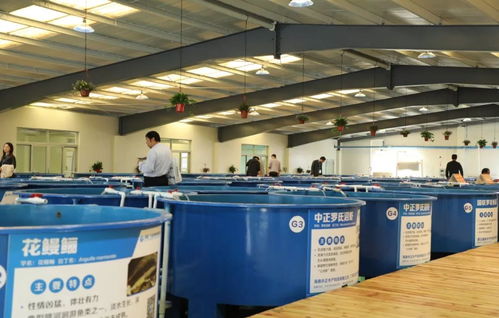 首屆廣東漁業(yè)種博會 沒想到你是這樣的博覽會！